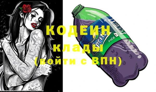 сатива Арсеньев
