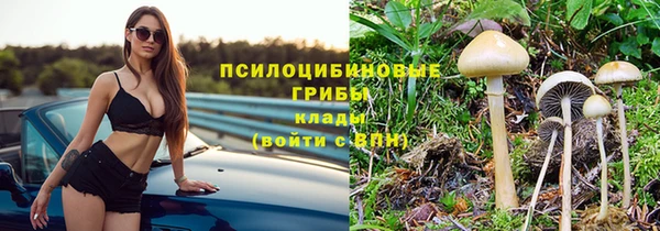сатива Арсеньев