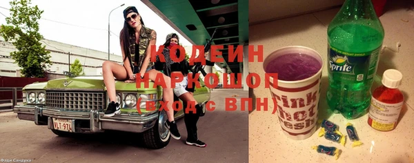 стаф Осинники