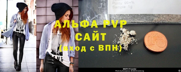 сатива Арсеньев