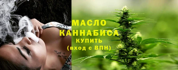 шишки Осташков